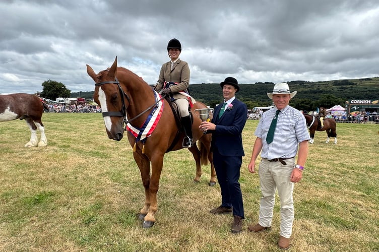 Rebecca White of Broadwoodwidger received the Champion Horse award with Royal Rambo, an Irish Draught from President Roger Cunningham and judge Philip Heard.  AQ 0138

