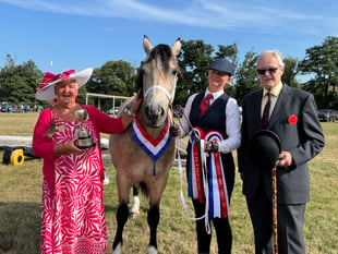 Don’t miss Chagford Show tomorrow
