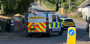 Male was arrested in Crediton on assault and damage charges
