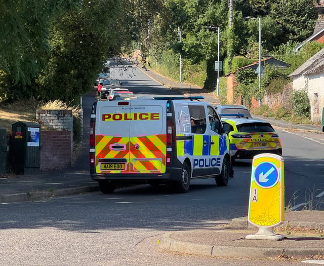 Male was arrested in Crediton on assault and damage charges
