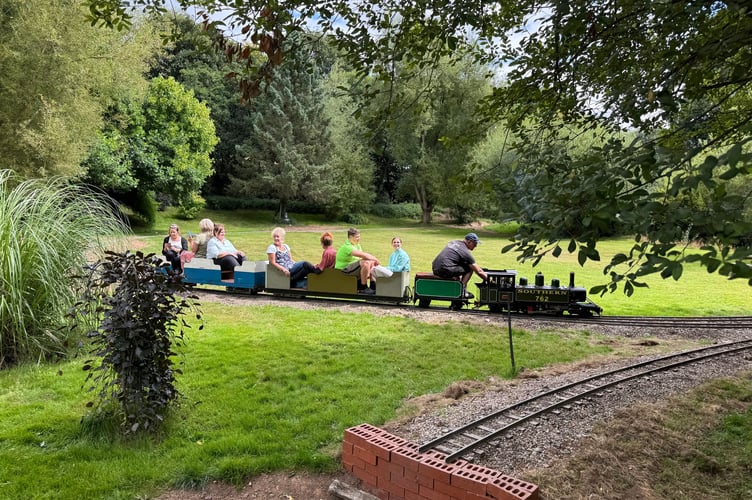The steam train Lyn with passengers at Lapford Mill. AQ 8123