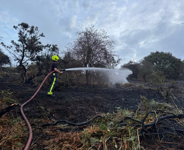 North Tawton among fire crews at Torrington Common fire
