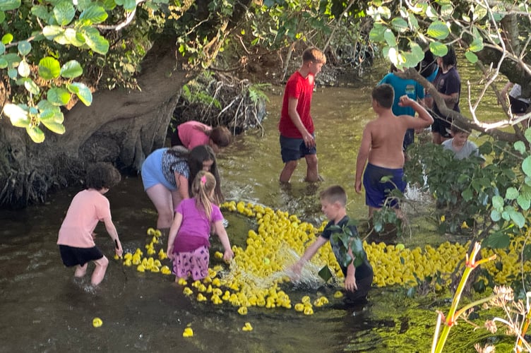 Yellow ducks floating down the river during the duck race assisted by young people. AQ 1432