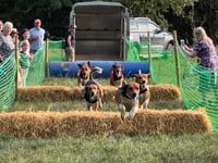 Lovely weather for duck and hound racing event
