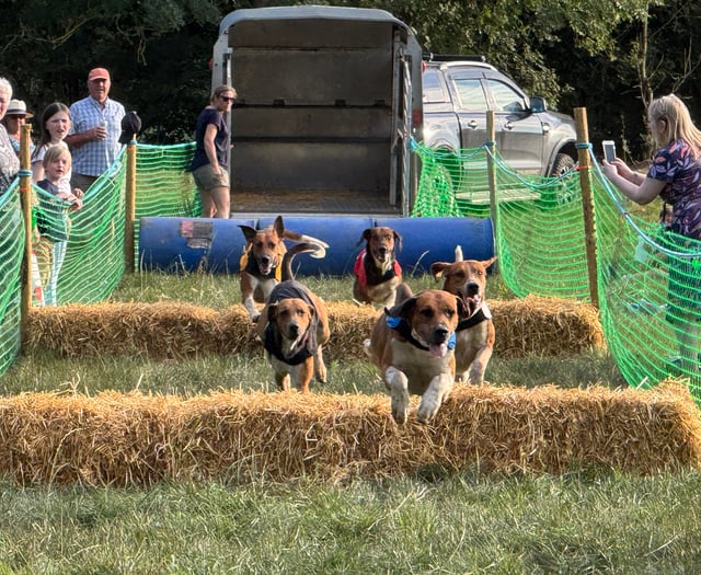 Lovely weather for duck and hound racing event
