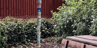 Totem pole proposed for Crediton park