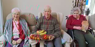 Christian Comment: Harvest at Hillbrow
