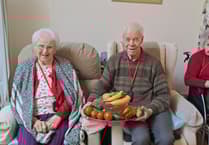 Christian Comment: Harvest at Hillbrow