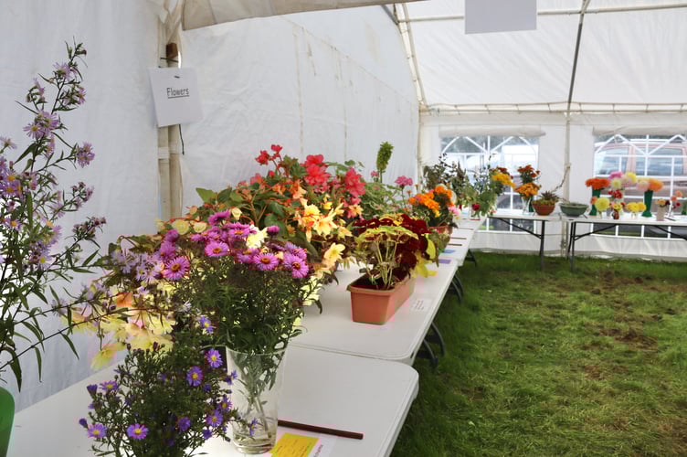 Flowers on display in the flower and produce show tent