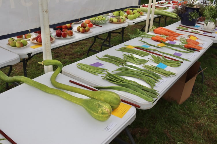 Alun Ward's gargantuan squashes won first prize in their class
