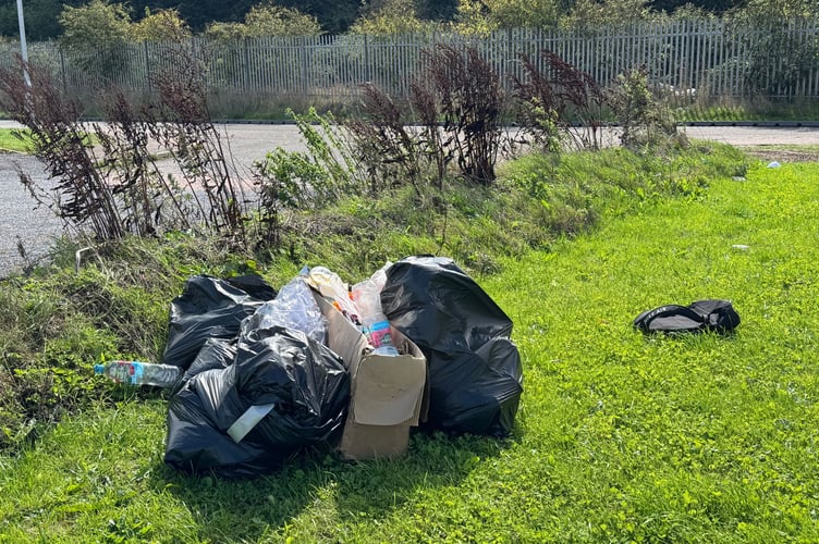 Some of the rubbish left behind near Redlands Primary Care Crediton GP Practice overflow car park.  AQ 3071
