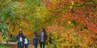Join in the Wonder of Autumn celebration at RHS Garden Rosemoor