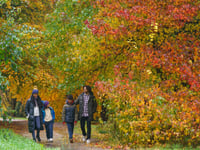 Join in the Wonder of Autumn celebration at RHS Garden Rosemoor