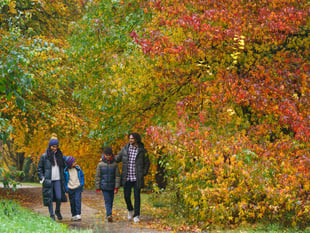 Join in the Wonder of Autumn celebration at RHS Garden Rosemoor