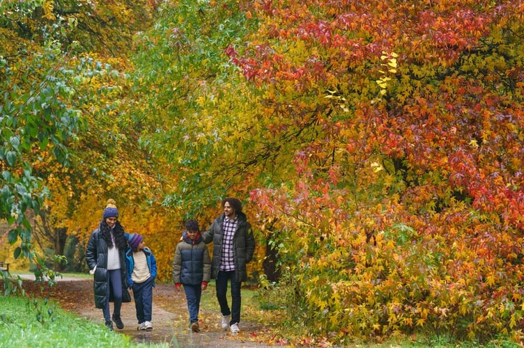 Enjoy autumn at RHS Rosemoor