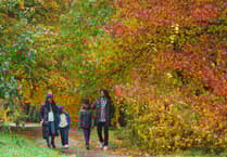 Join in the Wonder of Autumn celebration at RHS Garden Rosemoor