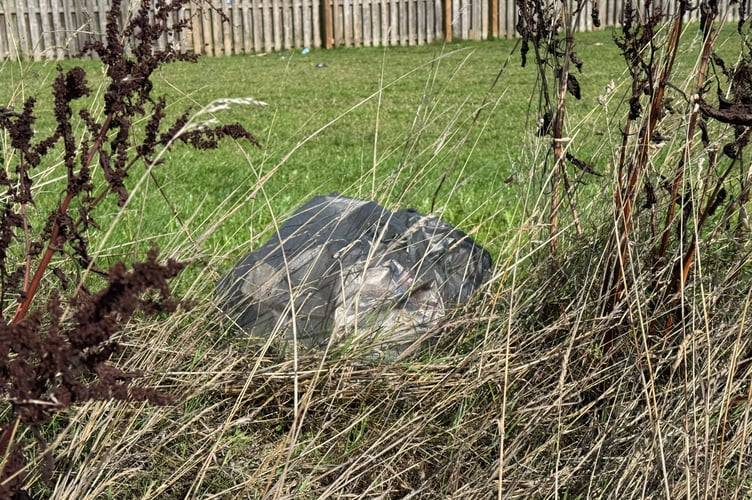 Some of the rubbish left behind near Redlands Primary Care Crediton GP Practice overflow car park. AQ 3069