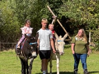 Great fun at Sandford School Donkey Derby
