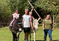 Great fun at Sandford School Donkey Derby