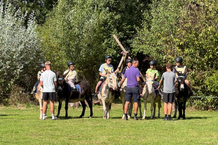 Ready for the first race at Sandford School Donkey Derby. AQ 2841