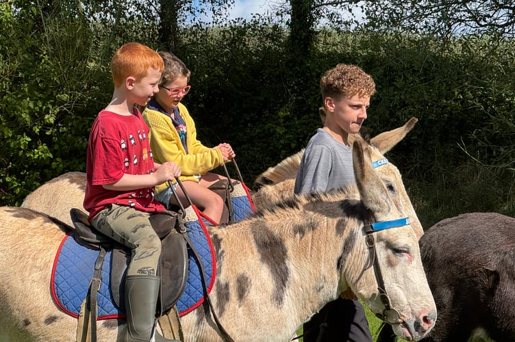 At Sandford School Donkey Derby. AQ 2802