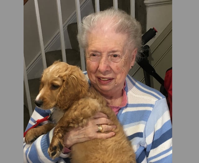 Letter: Thank you for your story about Joan Farley
