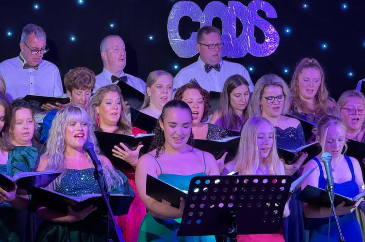 Some of the CODS singers during the Sounds of the 80’s evening.  AQ 3523
