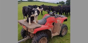 Appeal after local quad bike theft
