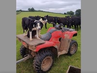 Appeal after local quad bike theft
