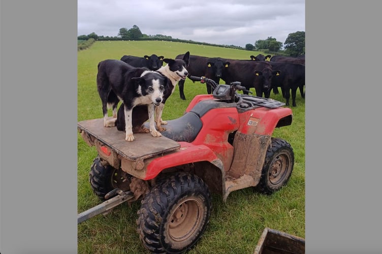 The Honda 420 Quad bike stolen from the Kennerleigh/Black Dog area.

