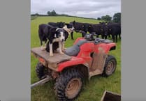 Appeal after local quad bike theft