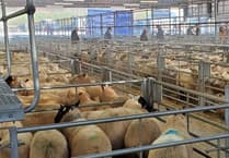 Holsworthy £7.3m agri-business centre still on track despite fears