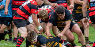 Pressure turned into points for Crediton RFC 1st XV
