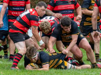 Pressure turned into points for Crediton RFC 1st XV
