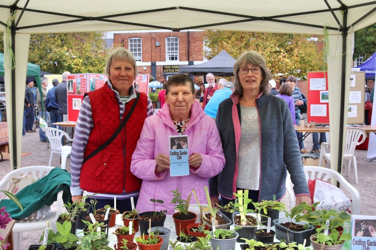 27 September 2025 Big Green Fair Krys Dunn, Pam Bedford and Jill Vanstone of Crediton Garden Club (Will Goddard, Crediton Courier)