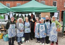 Big Green Fair coming up in Crediton Town Square