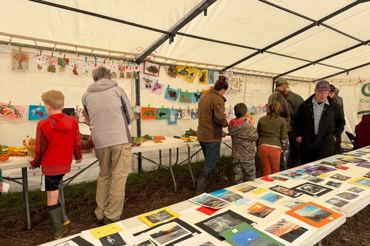A marquee and outside housed the cookery, floral, handicraft, children’s and farm produce classes at Cheriton Fitzpaine and District Ploughing Match and Produce Show.  AQ 3638
