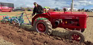 Fine day for the 79th Cheriton Ploughing Match
