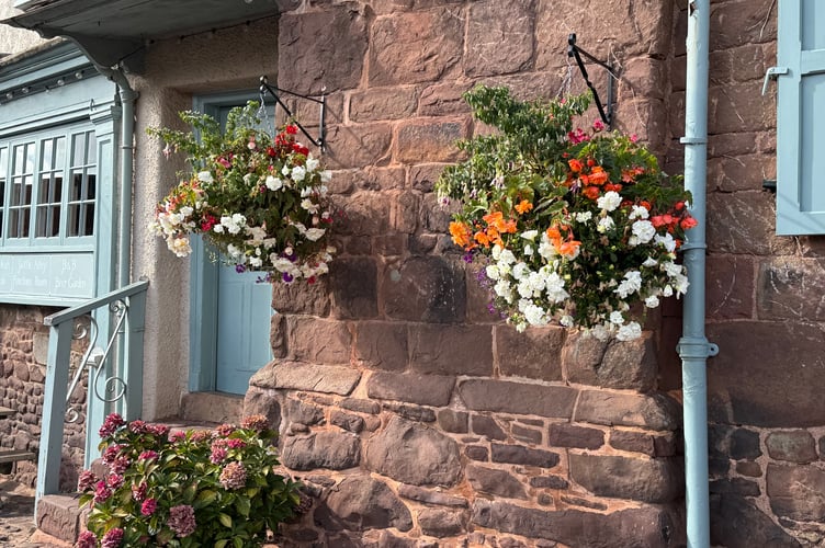 Nick Silk at The Lamb Inn, Sandford, received a fourth prize in the hanging baskets category.  AQ 1580

