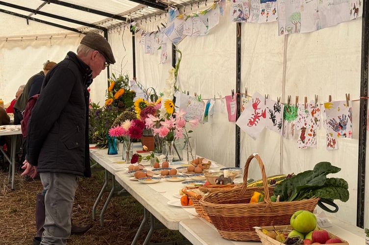 Great exhibits at Cheriton Fitzpaine ploughing match and Produce Show.  AQ 3645
