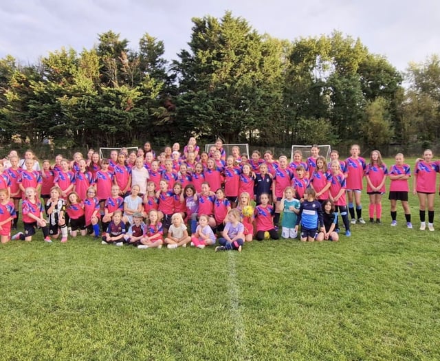 Crediton Youth FC roundup
