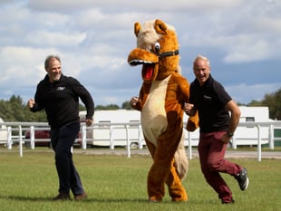 Devon’s greatest racing spectacle is back on Haldon Hill
