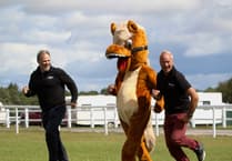 Devon’s greatest racing spectacle is back on Haldon Hill