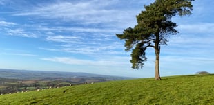 Enjoy a 5-mile Raddon Hills Walk
