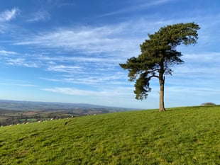 Enjoy a 5-mile Raddon Hills Walk
