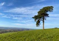 Enjoy a 5-mile Raddon Hills Walk