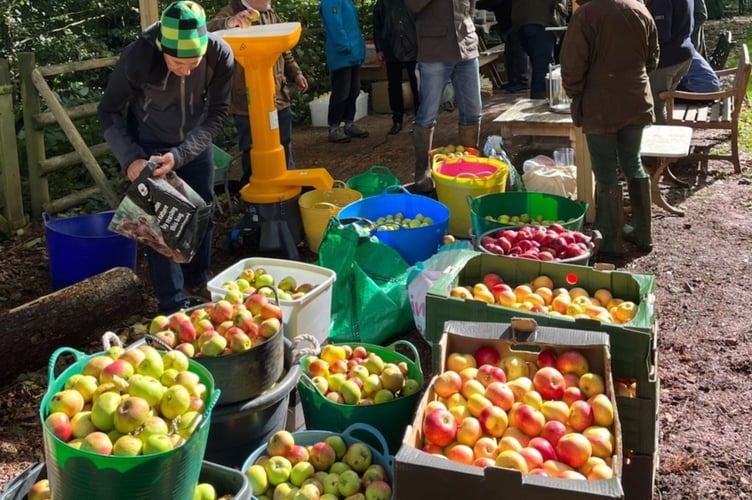 There were plenty of apples thanks to a bumper harvest