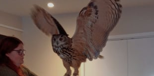 Birds of Prey visit for Lapford Over 60 Club
