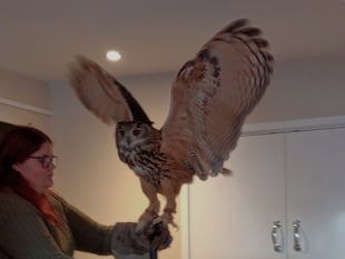 Birds of Prey visit for Lapford Over 60 Club
