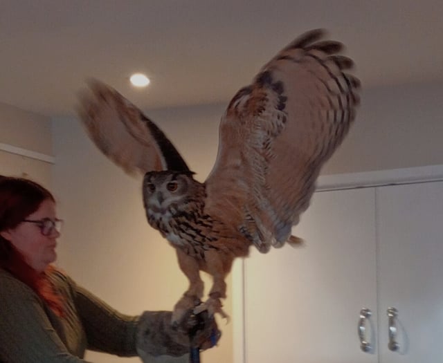 Birds of Prey visit for Lapford Over 60 Club
